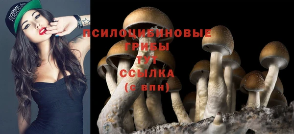 марихуана Алексеевка