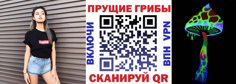 кракен зеркало  Амурск  Галлюциногенные грибы Psilocybine cubensis  купить  сайты 