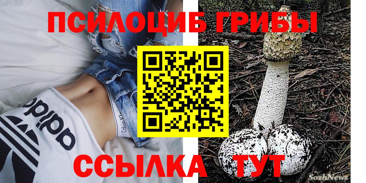 Псилоцибиновые грибы ЛСД Амурск